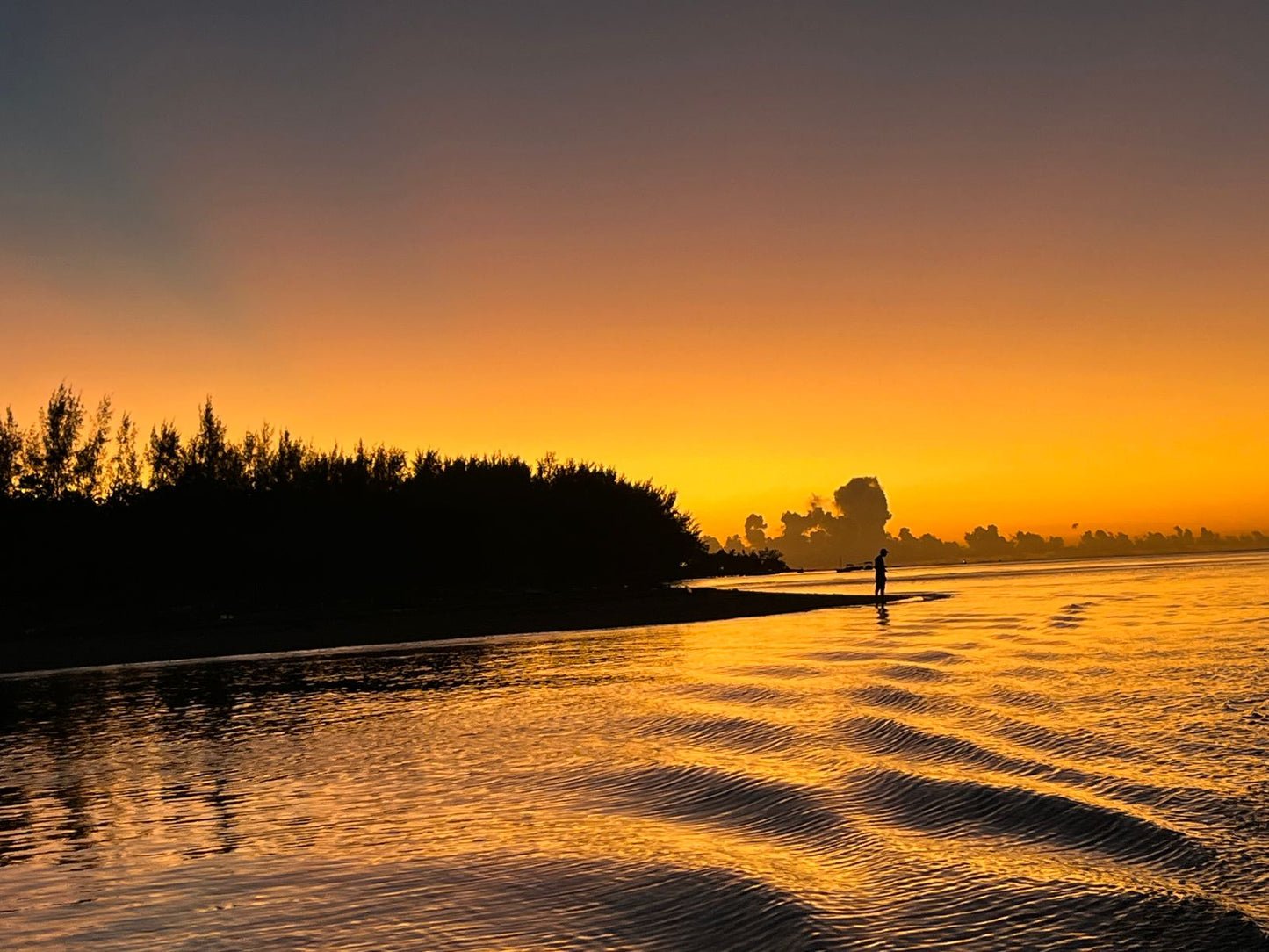 Sunset Boat Cruise - West Coast