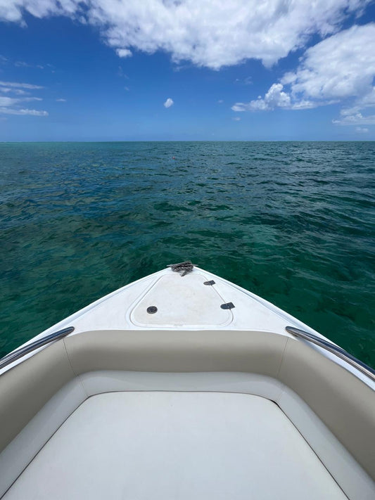 Hire a private speedboat for half-day