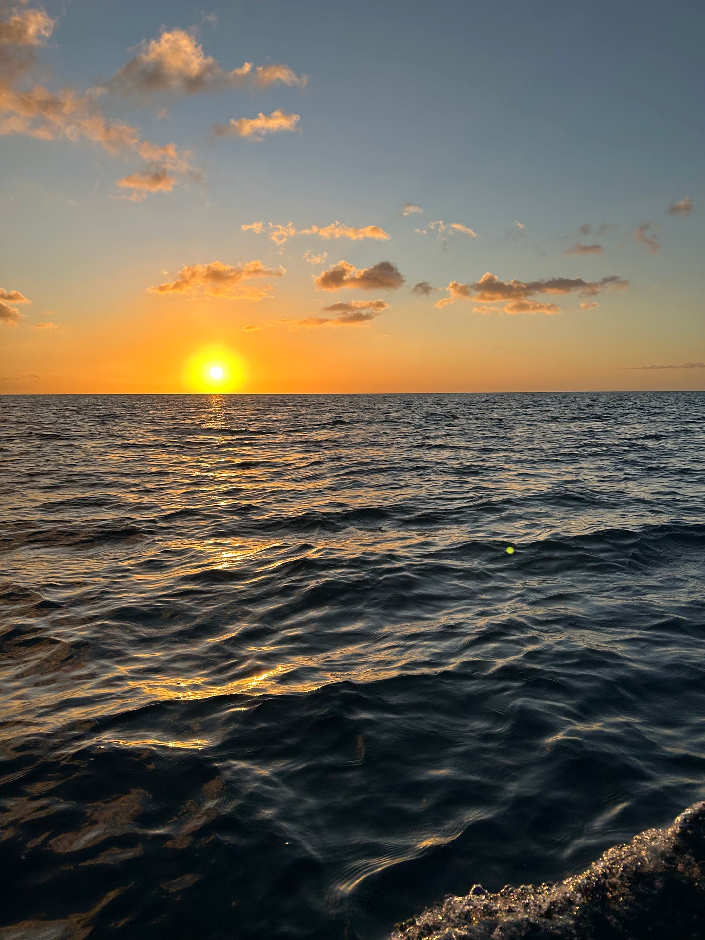 Sunset Boat Cruise - West Coast