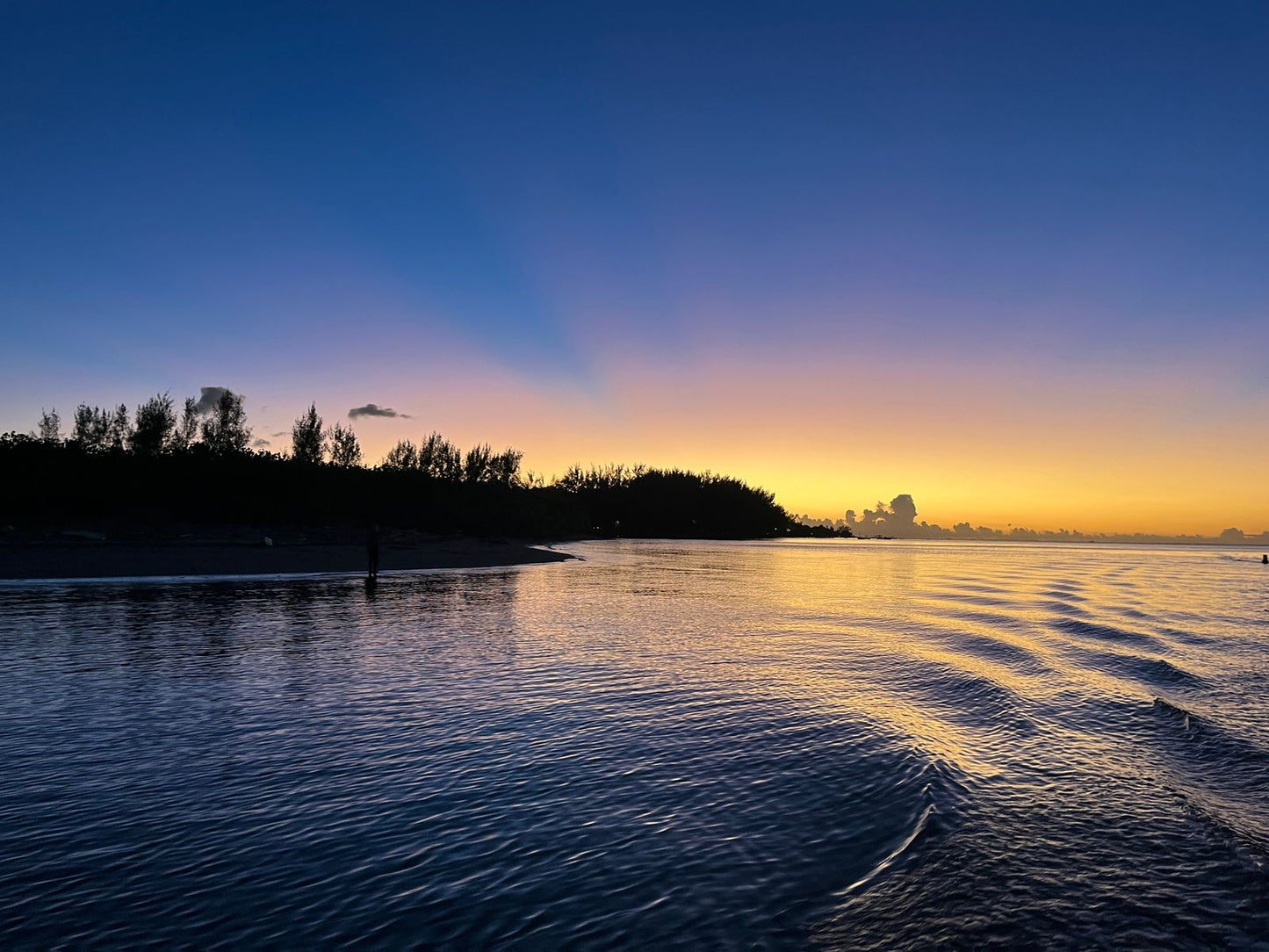 Sunset Boat Cruise - West Coast